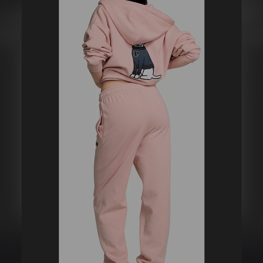 PINK Dog Graphic Hoodie and Sweatpants - Picture 15 of 16